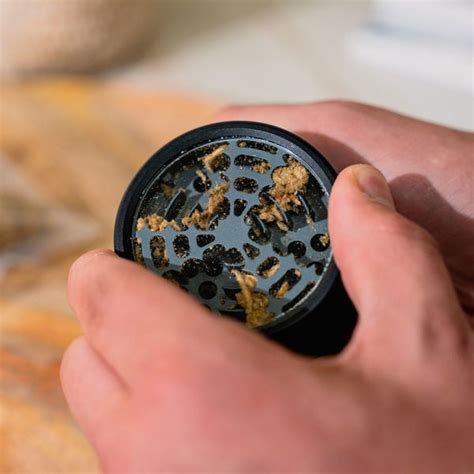 zamnesia premium grinder|Premium Grinder par Zamnesia